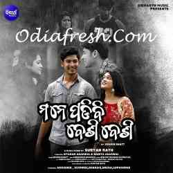 Mane Padibi Besi Besi